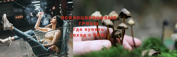 герыч Алзамай