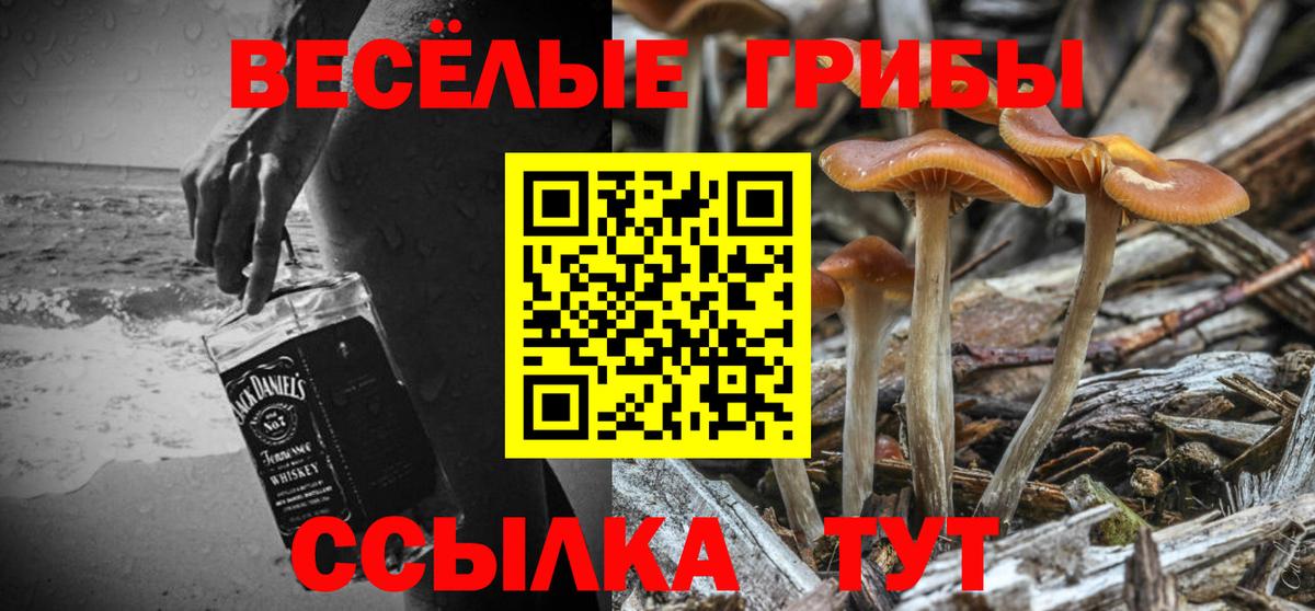 Псилоцибиновые грибы Magic Shrooms Гуково